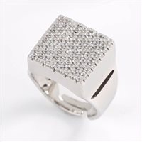 Anello Artlinea Donna in Argento Zircone ZAN540-LB - ZAN540-LB